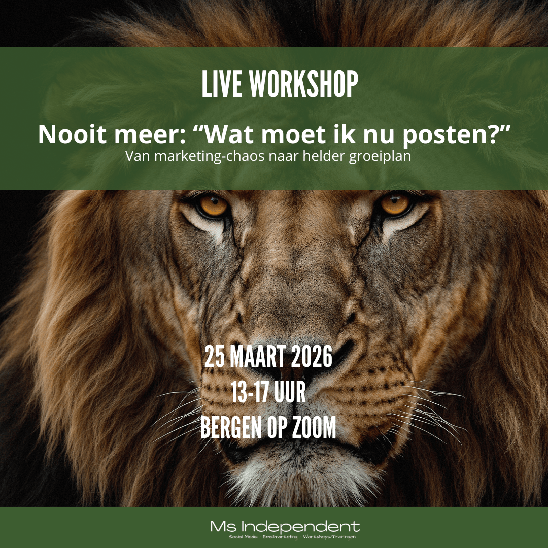 Van Marketing-chaos naar een helder groeiplan